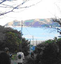 大会会場の伊豆