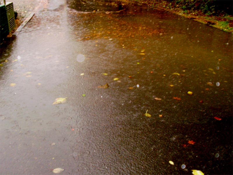 大雨で水たまりとなった町道