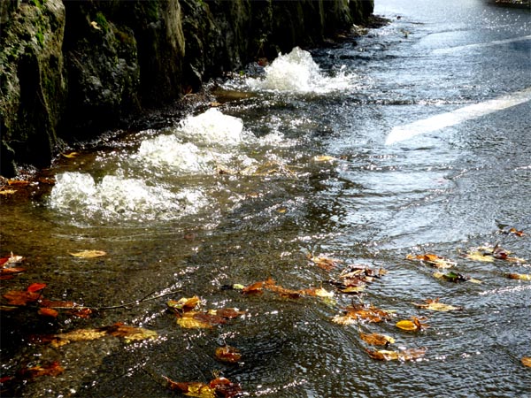 側溝から大量の雨水が道路に流れ出ていた