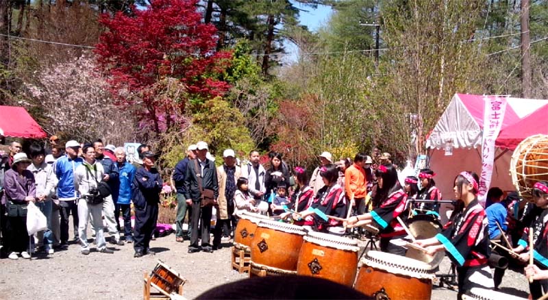 富士桜・ミツバツツジまつり　オープニング