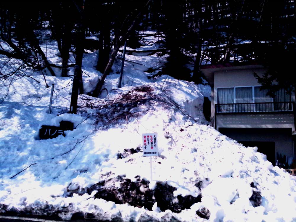 雪崩が襲った宿泊施設