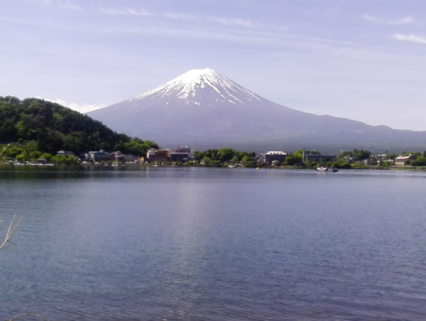 ウォーキング大会に参加