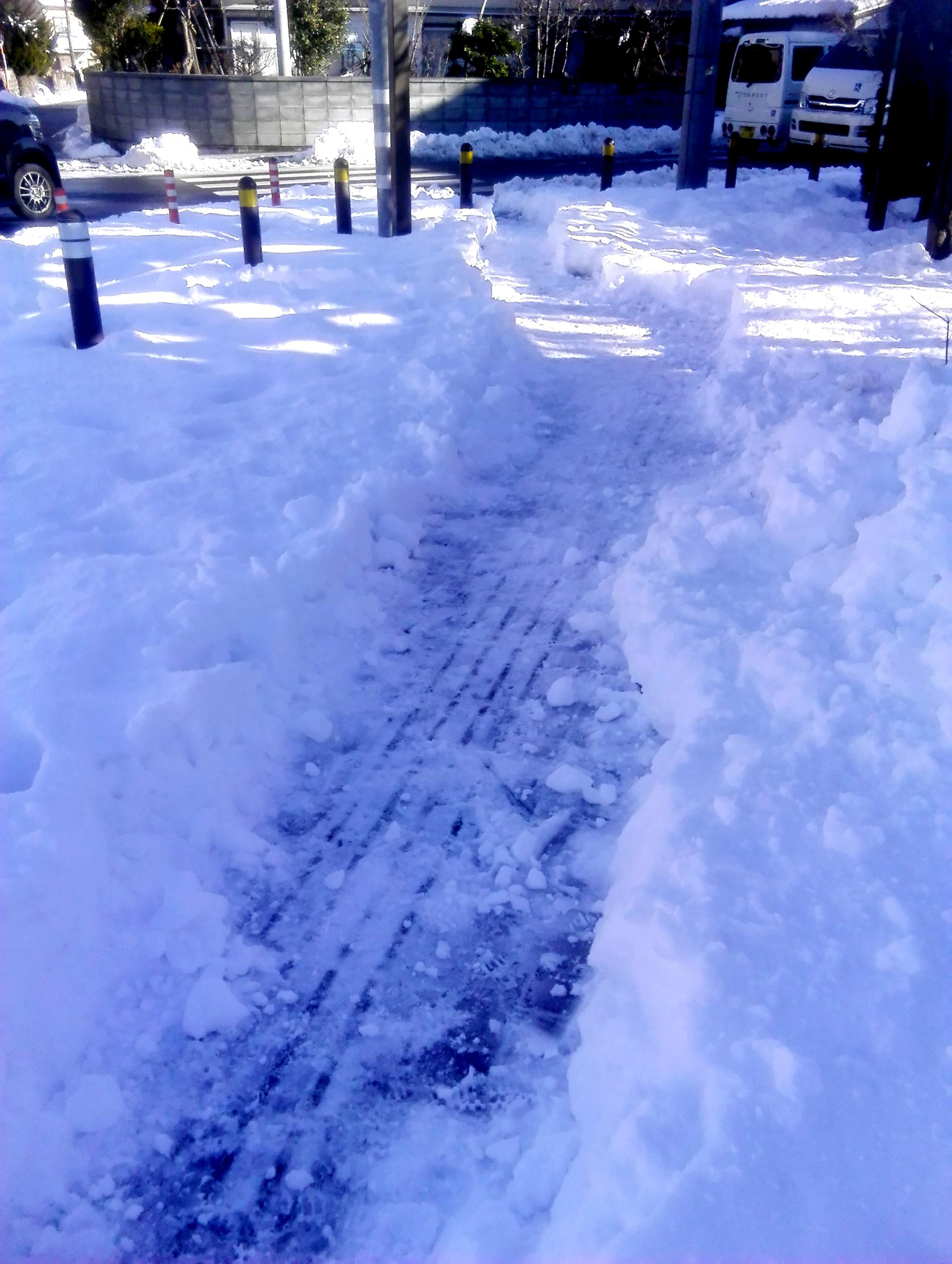 雪かきなどに取り組みました