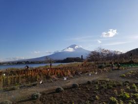 こんにちは山下です