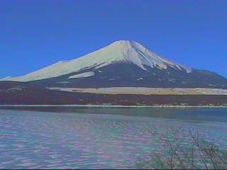 �R���܂܂̐X����P����