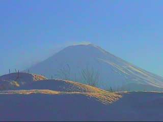 �x�m�g�c�s�Ƃ���䂩��P���R�P��