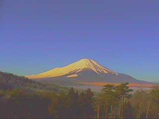 �G�L�V�u�R���̒�ɂČ��U