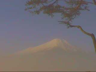 �R���΂܂܂̐X���猳�U