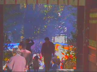 �N�n�̎Q�q�q�Q���U�̐�Ԑ_��