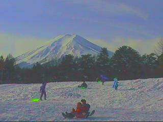 ����X�L�[��ƂȂ����p�C���Y�p�[�N�P���P�P��