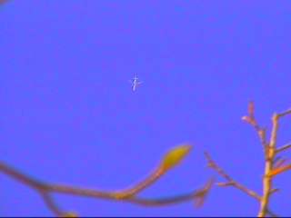 �Q���P�������A��s�@���������茩���܂�