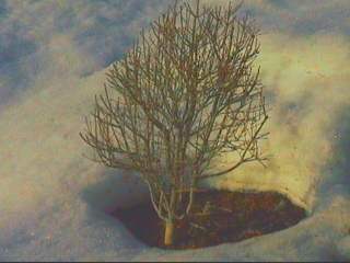 ����������������